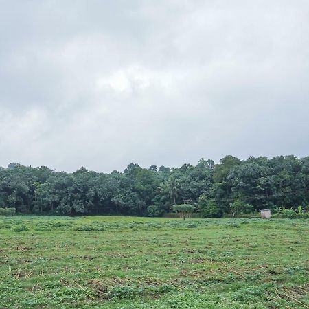 Thanal Premium Villa By - A Place To Call Your Home Muvattupuzha Екстер'єр фото