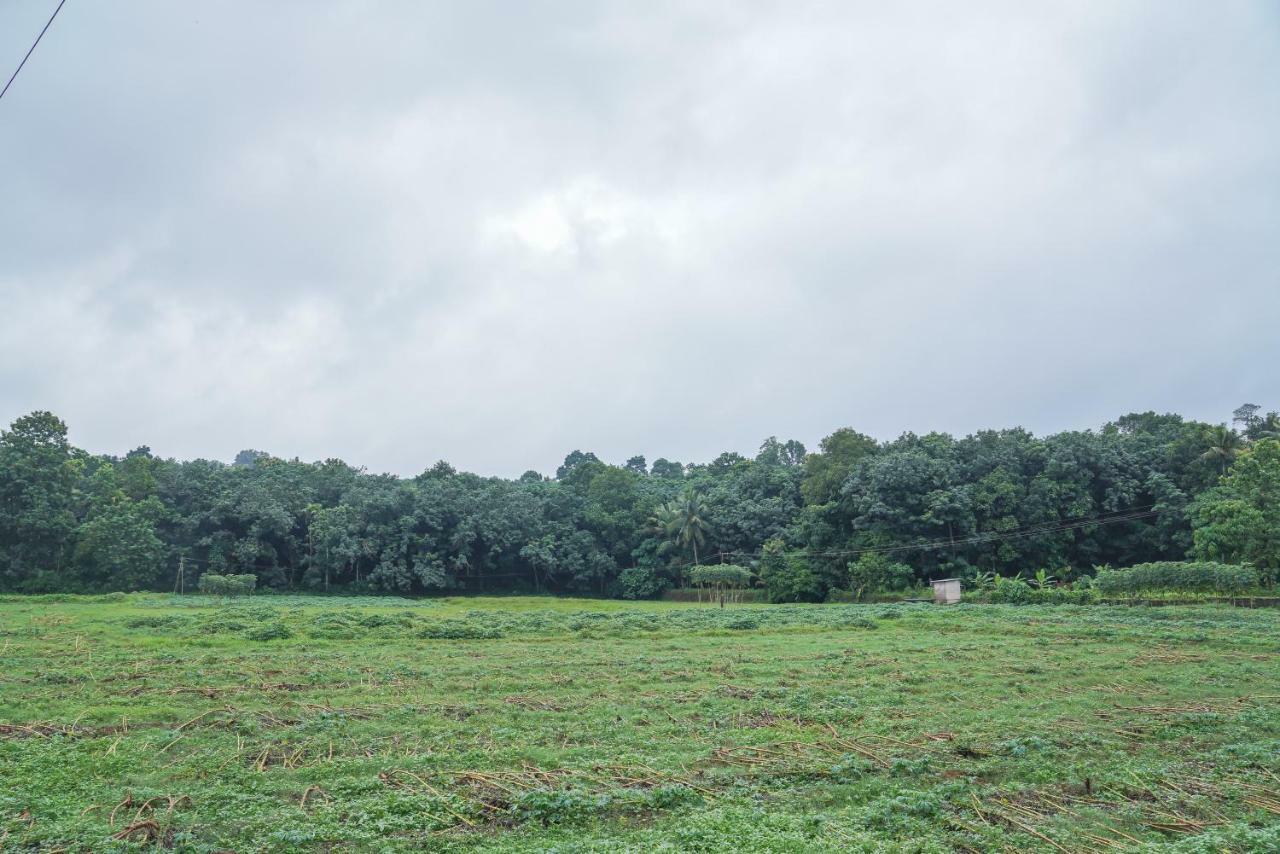 Thanal Premium Villa By - A Place To Call Your Home Muvattupuzha Екстер'єр фото